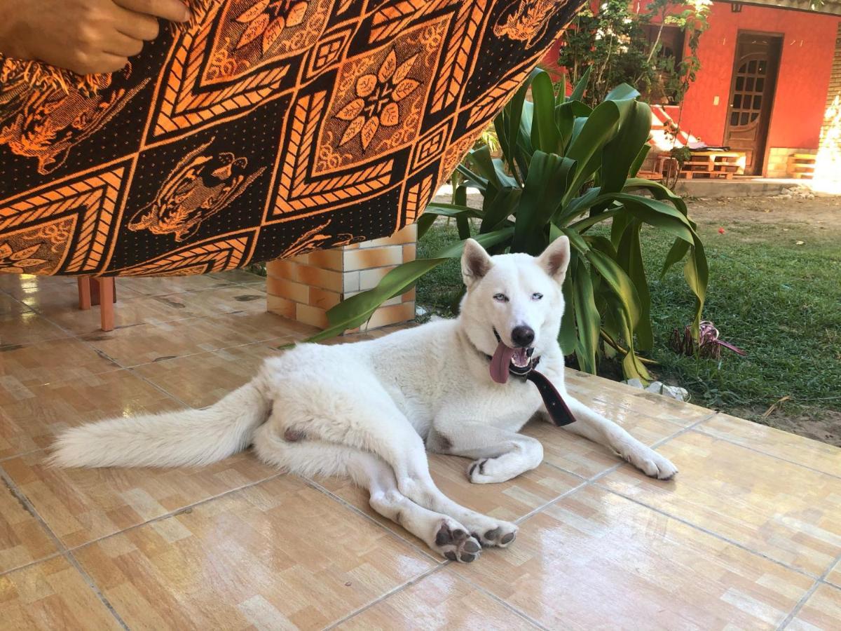 Guest House Lua 파라쿠루 외부 사진